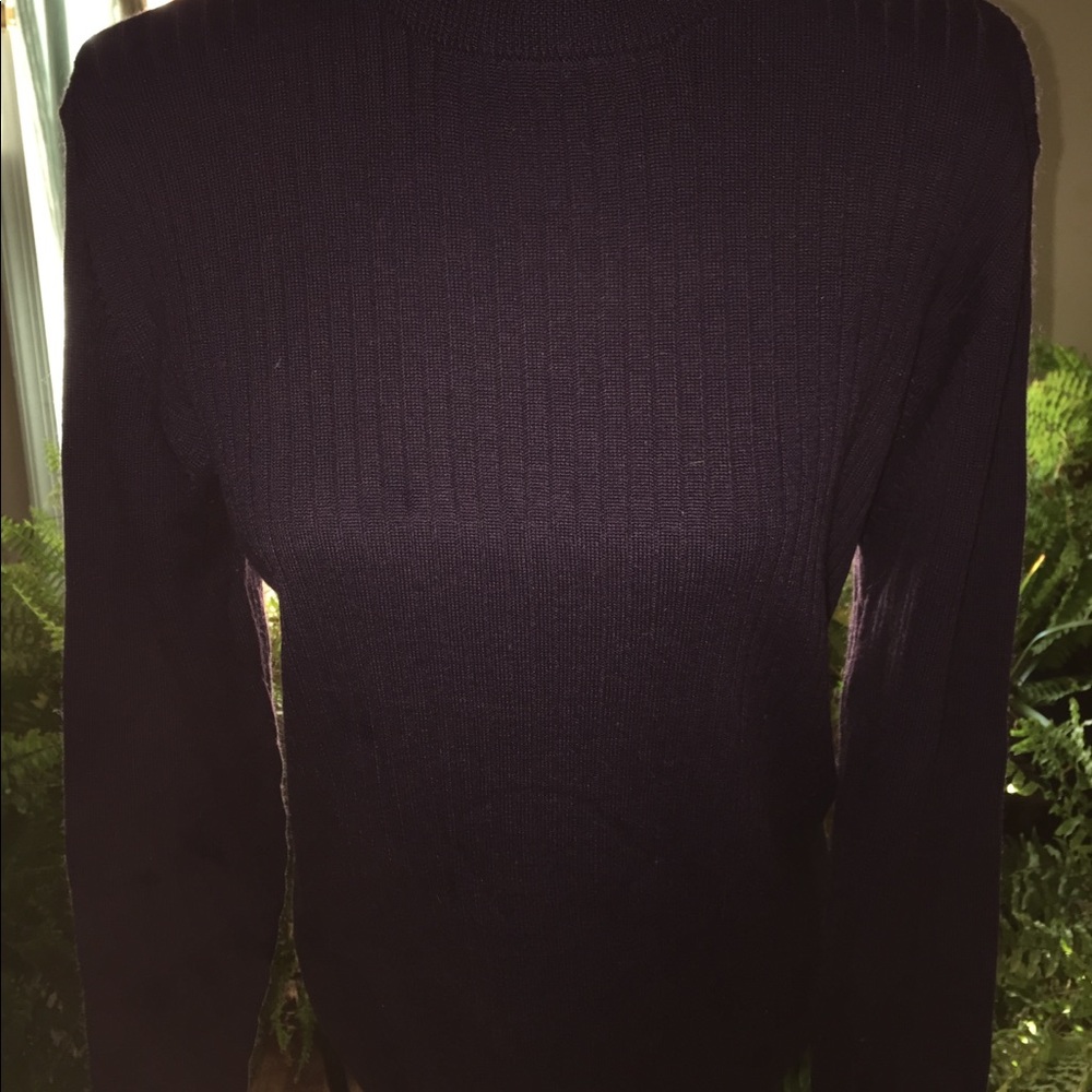 Karen Scott sweater